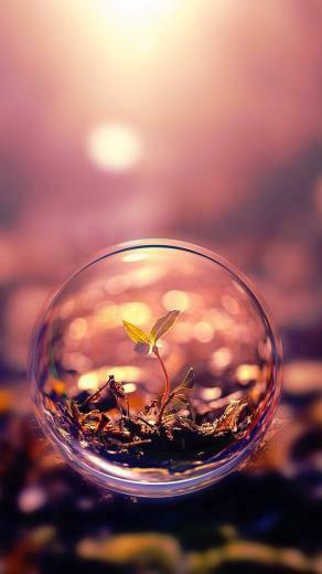 Cute iPhone 5c Background Background Lock Screens Pi