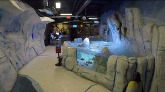 Seaquest Fox31 Denver