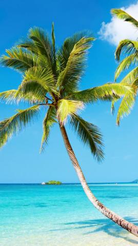 Tropical Beach 4k Ultra HD Wallpaper