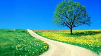 Spring Desktop Background HD Wallpaper