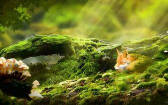 Relaxing Desktop Background