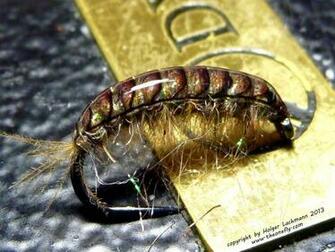 Fly Tying Wallpaper In Is To Create