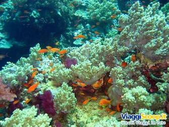 Url Viaggiscoop It Sfondi Gallery Aspx Idg