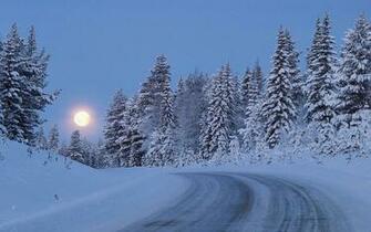 Snowy Forest Road Moon Night Wallpaper