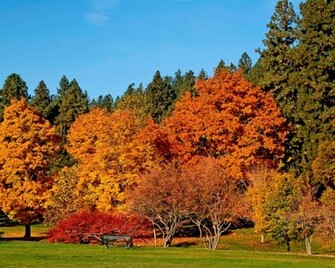 Autumn Colours Desktop Pc And Mac Wallpaper