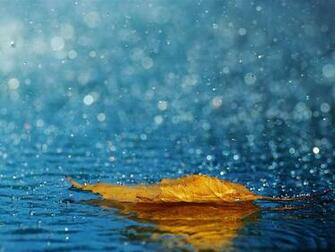 Raindrops Close Up HD Desktop Wallpaper