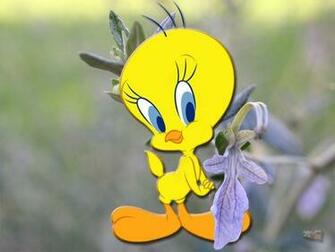 Wallpaper Thema Screensaver Pictures Fantastik Resimler Tweety