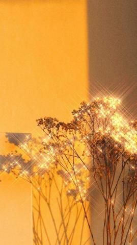 T R A S H On Aesthetic Image Yellow