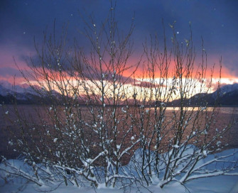 Winter Solstice Wallpaper