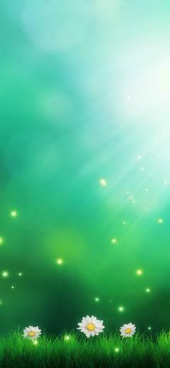 Green Background Phone Wallpaper