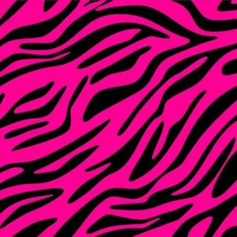 Back Gallery For Neon Zebra Wallpaper