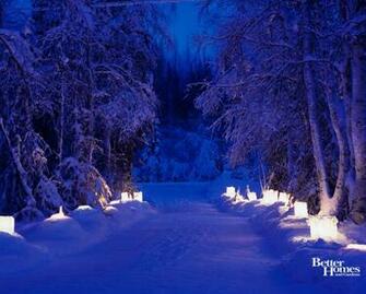 Peaceful Scenery Trees Winter Wonder Desktop Wallpaper