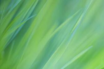 Google Chrome Os Wallpaper