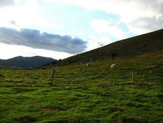 The Countryside Photography Photo French