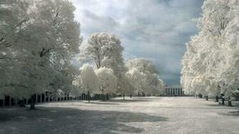 Asus Google Chrome Theme HD Wallpaper Background Hos