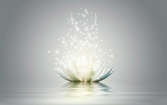 Lotus Flower Wallpaper All