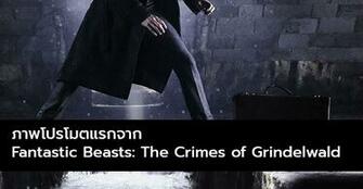 Fantastic Beasts The Crimes Of