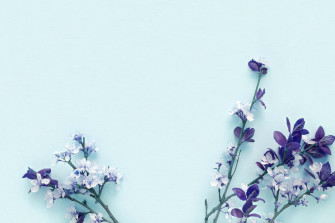 Blue Flowers Aesthetic Wallpaper