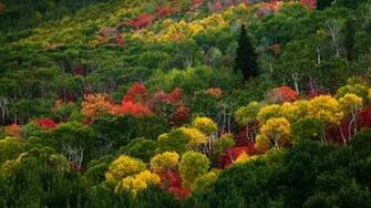 Bing HD Wallpaper Pack Msn Is Fall Portal Offering