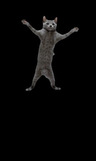 Animated Mobile Phone Wallpaper Gif For Samsung Moving 3d Screensaver