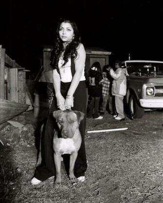 Gangster Gangsta Pitpull Old English Pachuco Lowrider Mexican Hispanic
