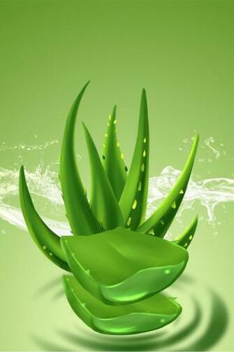 Aloe Vera Hydrating Product Green Plant Business Logo