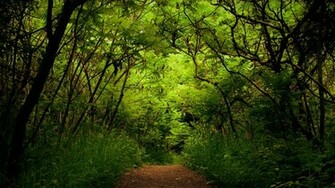 Incredible Nature Full HDtv Wallpaper