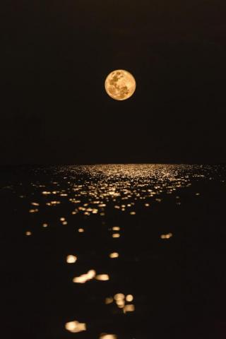 Best Moon Image HD Pictures Stock Photos