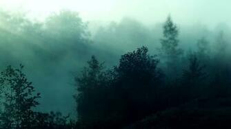 Foggy Forest Wallpaper High Definition Flip