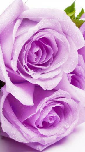 Happy Mothers Day iPhone Wallpaper