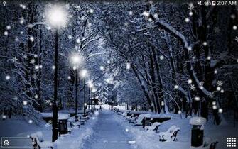 Details Id Wallpaper Nad Christmas3 Snow Live Pro