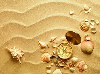 File Shell Wallpaper 73h748l Jpg 4usky