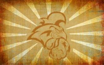Coastal Wallpaper Carolina University