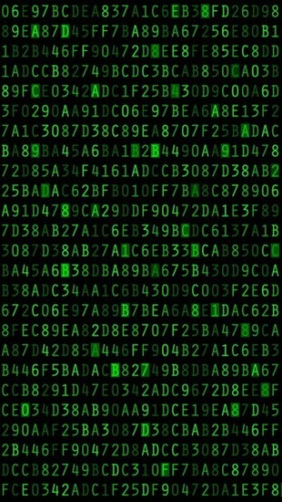 Matrix Binary Wallpaper Blue