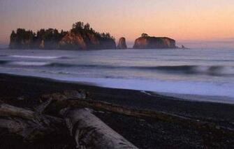 Forks Washington Wix