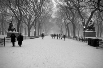 Pin Central Park Winter Night HD Wallpaper