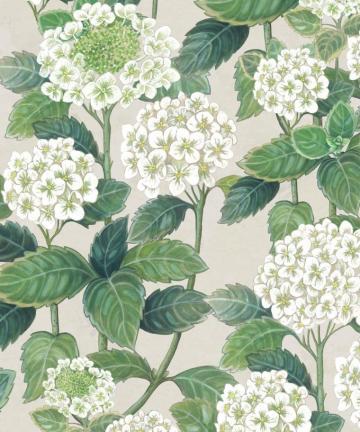 Cottage Wallpaper Simple Unpretentious Milton King