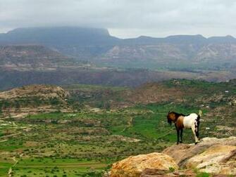 World Best Collections Of Photos And Wallpaper Ethiopia