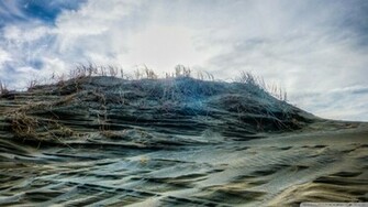 Beach New Zealand Wallpaper Muriwai