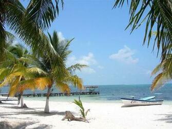 Sunny Beach Wallpaper