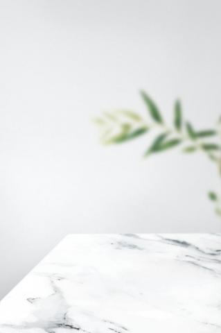 Plain Gray Wall With Leaf And White Marble Table Product
