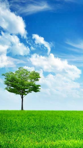 iPhone Plus Wallpaper Nature