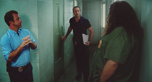Hawaii Five Image Fan Art Wallpaper And