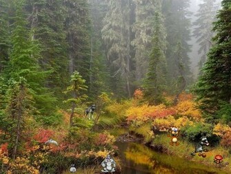 3d Golden Autumn Screensaver