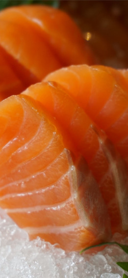 Salmon Fish iPhone Wallpaper