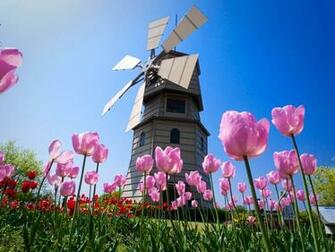 Spring Nature Wallpaper Background Image
