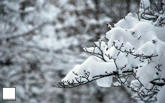 Blizzard Background Wallpaper