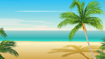 Palm Tree Desktop Wallpaper