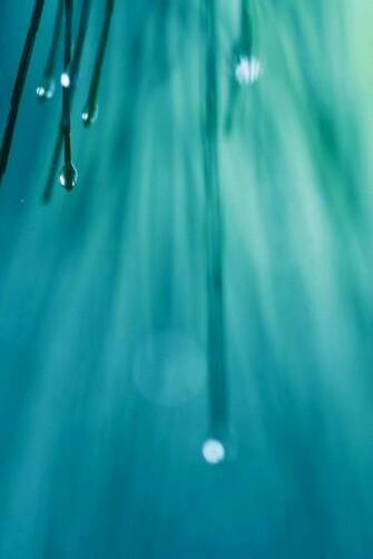 iPhone Wallpaper Me Simply Beautiful For