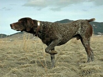 Helga Weaver Hunting